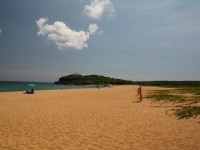 Photo:sheng