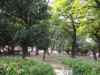 同心公園<br/> 攝影：Eva隨手拍