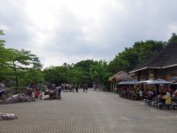 台北市立動物園<br/> 攝影：Eva隨手拍