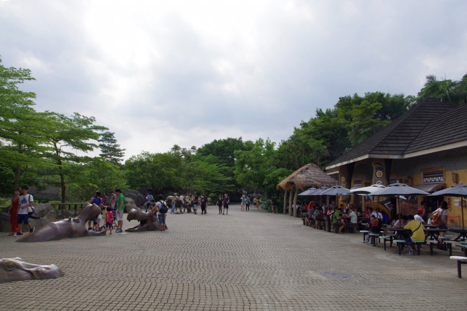 台北市立動物園 攝影：Eva隨手拍