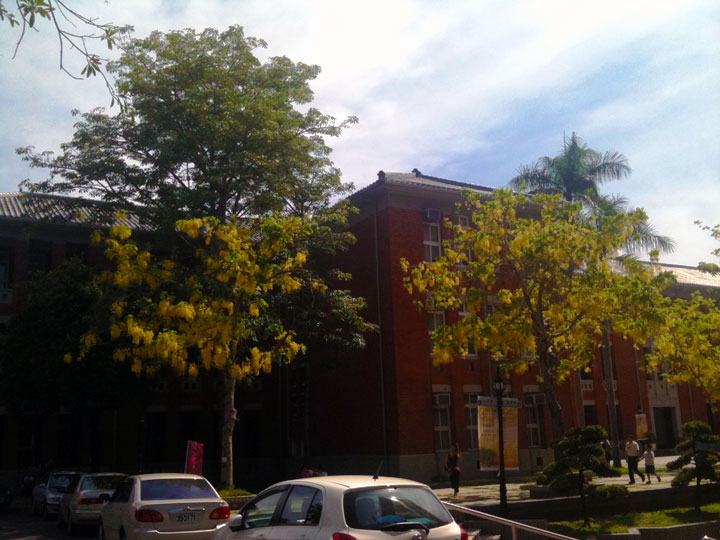 台南大學 攝影：山景