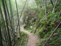 木馬古道<br/> 攝影：Eva隨手拍