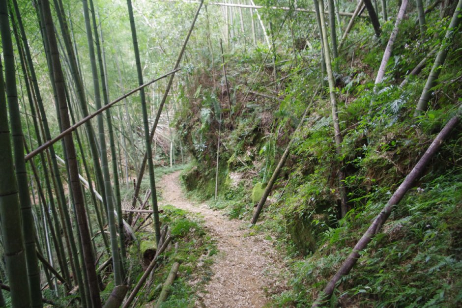 木馬古道 攝影：Eva隨手拍