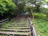 水碓觀景公園的原木階梯<br/> 攝影：kavin