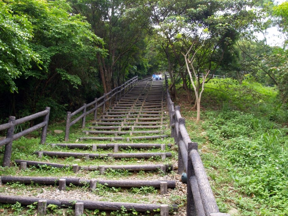 水碓觀景公園的原木階梯 攝影：kavin