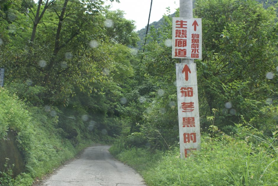 方向指示牌 攝影：Eva隨手拍