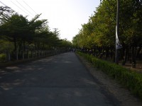 蒜頭蔗埕文化園區步道<br/> 攝影：旅遊王攝影組