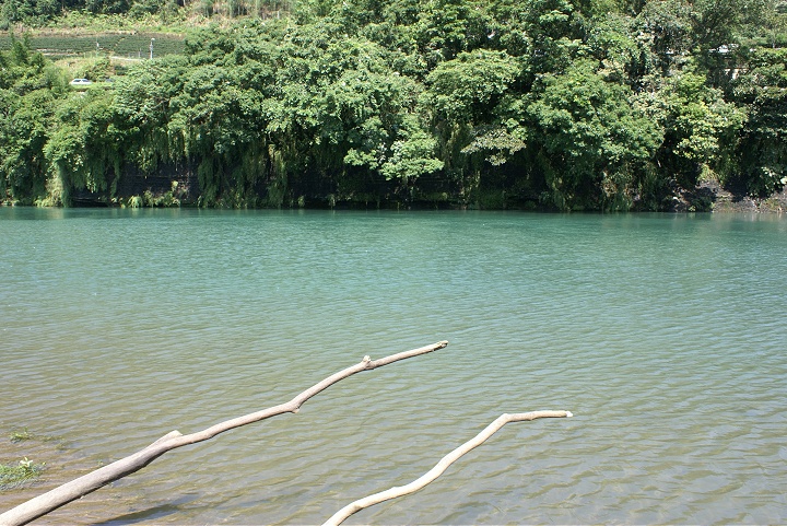 坪林親水公園 攝影：Eva隨手拍