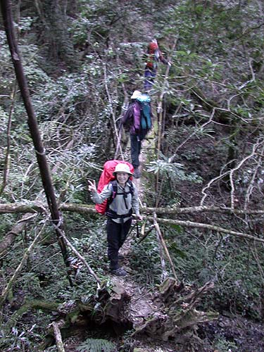獨木橋 攝影：阿英的登山小站