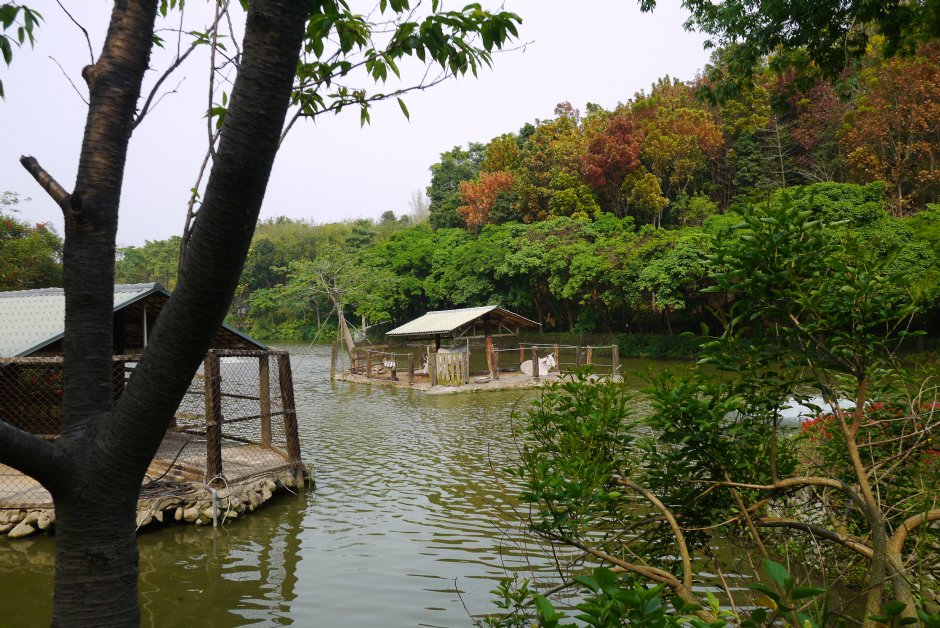 動物島 攝影：三井