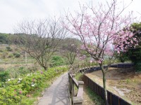 大坑溪三生步道<br/> 攝影：Eva隨手拍