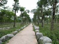 完整的綠林步道<br/> 攝影：童永銓