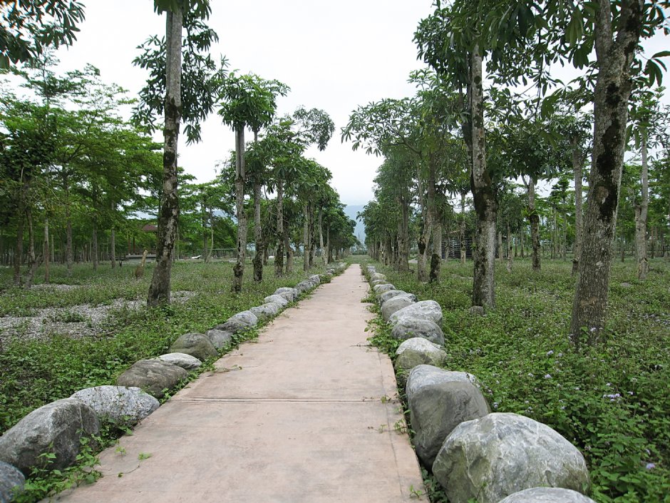 完整的綠林步道 攝影：童永銓
