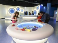 海洋漁業館<br/> 攝影：安永心食館 提供