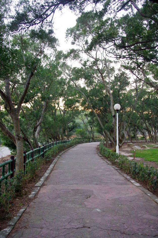 登山步道 攝影：Eva隨手拍