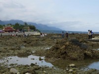 富山漁業資源保育區<br/> 攝影：台東觀光旅遊網 提供