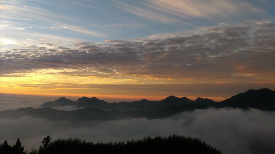 阿里山雲海 攝影：晏伶