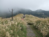七星山主峰步道<br/> 攝影：Lu