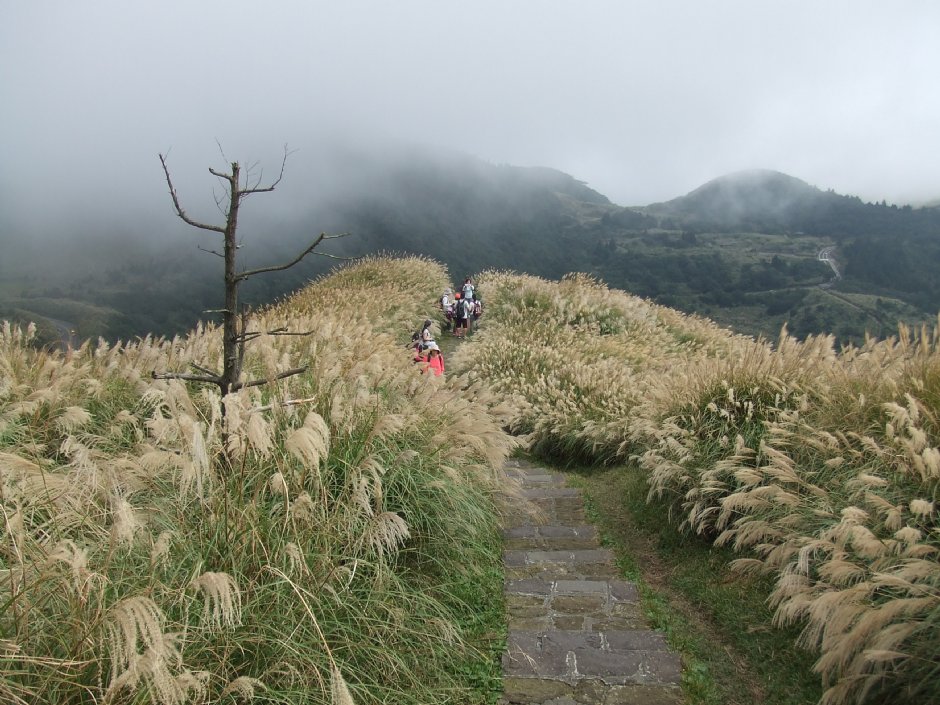 七星山主峰步道 攝影：Lu