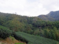 石壁風景區<br/> 攝影：Eva隨手拍