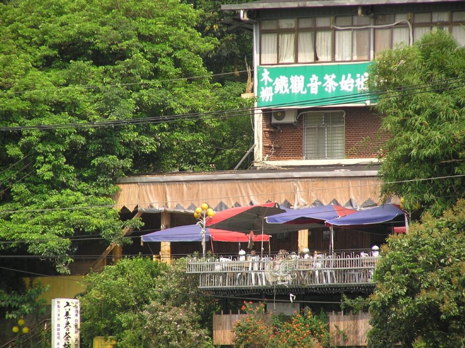 四處可見的茶園 攝影：陳李豪