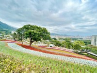 北投社三層崎公園大片花海被譽為台版富良野<br/> 攝影：Eva隨手拍