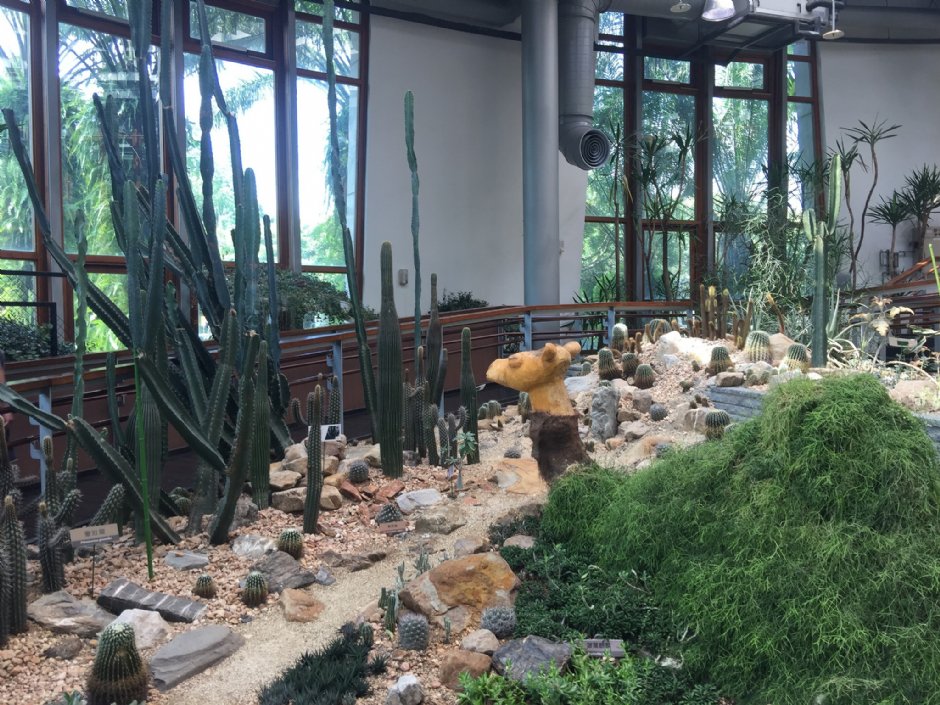 台北典藏植物園 攝影：Eva隨手拍