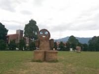 屏東科技大學<br/> 攝影：軒爸