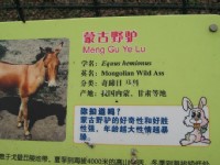 上海動物園<br/> 攝影：Crystal