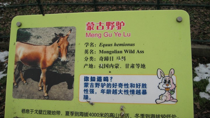 上海動物園 攝影：Crystal