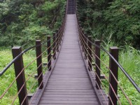 峭壁步道<br/> 攝影：Eva隨手拍