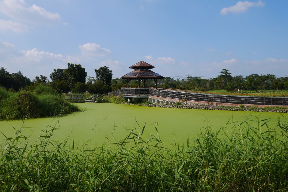 生態淨化池區 攝影：旅遊王攝影組