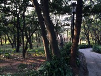 楊梅貴山公園<br/> 攝影：Leon Tsai