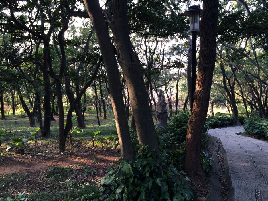 楊梅貴山公園 攝影：Leon Tsai