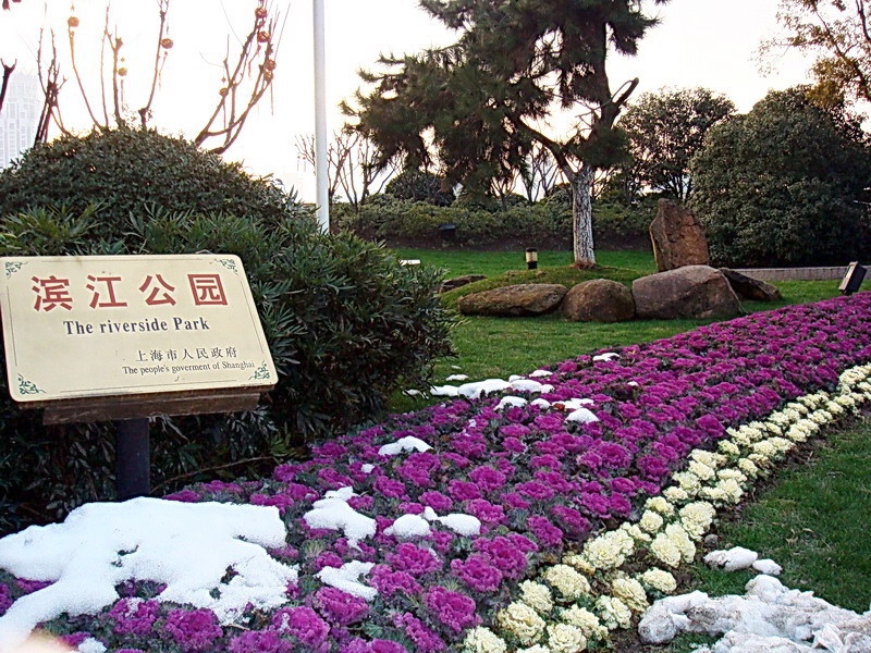 濱江公園 攝影：余燕鳳
