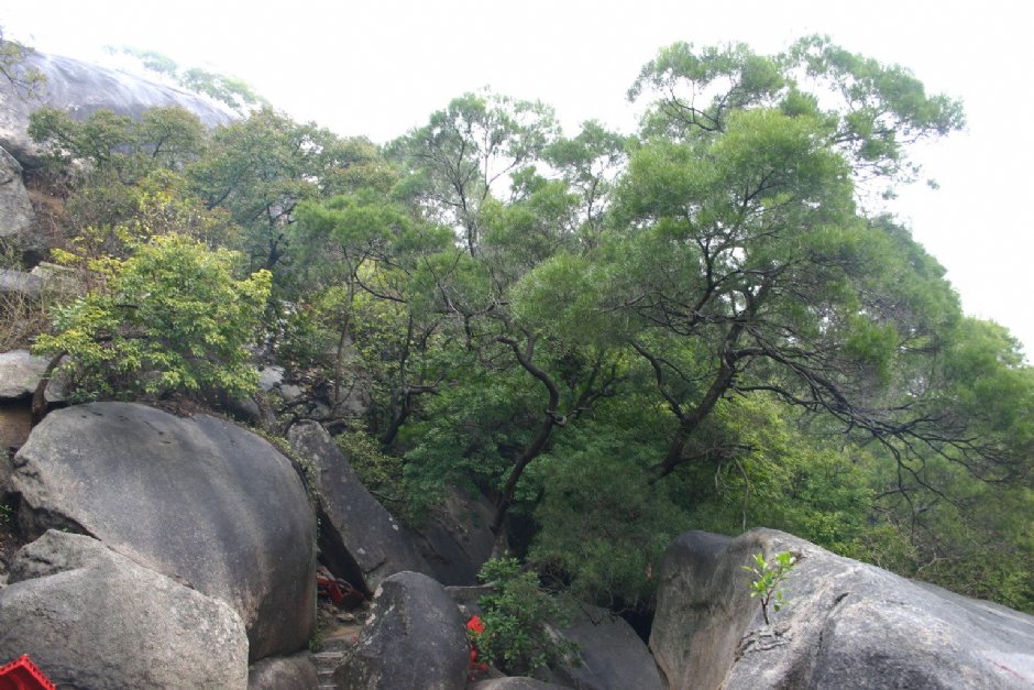 南普陀寺 攝影：馮順