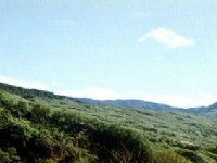 水田風景區<br/> 攝影：呂玫瑢