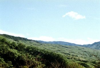 水田風景區 攝影：呂玫瑢