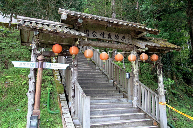 太平山原始森林公園 攝影：陳銘祥