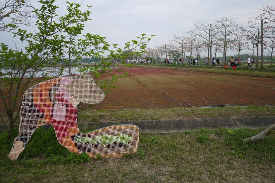 觀光示範田園 攝影：旅遊王攝影組