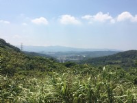 情人湖<br/> 攝影：Eva隨手拍
