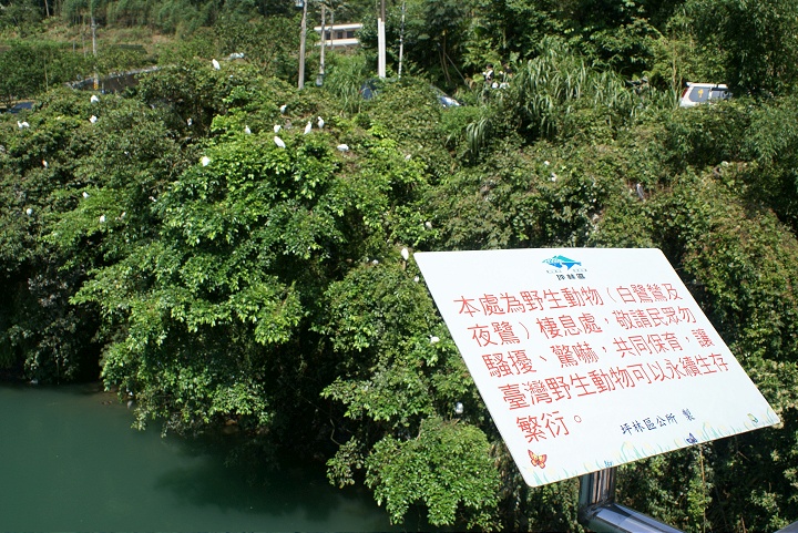 野生動物棲息處 攝影：Eva隨手拍