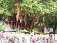 安平外商貿易紀念館(原德商東興洋行)<br/> 攝影：Eva隨手拍