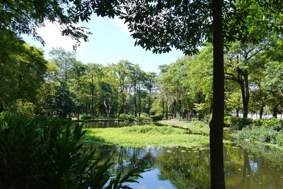 大東濕地公園 攝影：旅遊王攝影組