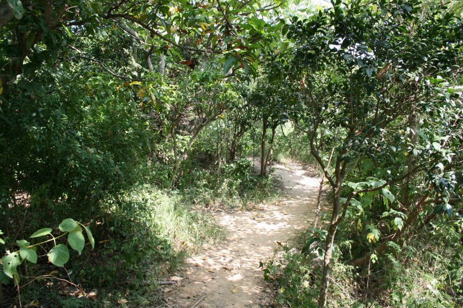 壽山登山步道 攝影：老山羊部落格