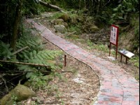 幽情谷步道1<br/> 攝影：雲林縣政府