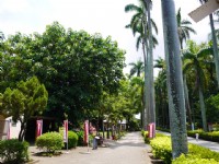 台灣糖業博物館<br/> 攝影：三個井