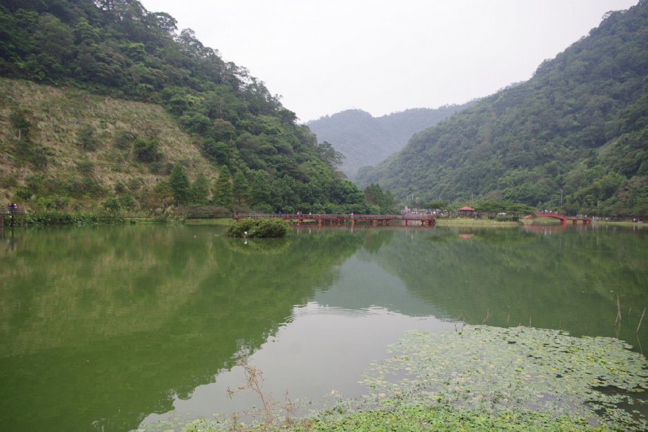 望龍埤 攝影：Eva隨手拍