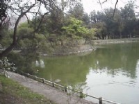 美麗湖畔<br/> 攝影：郭香妙