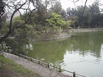 美麗湖畔 攝影：郭香妙